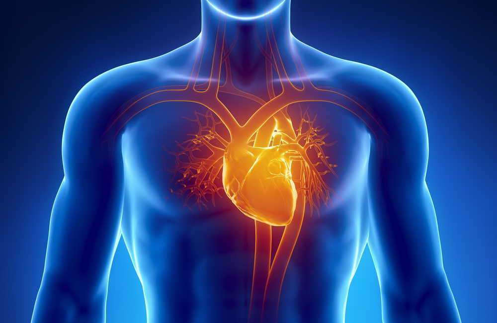 علاج أمراض القلب بالخلايا الجذعية - العلاج بالخلايا الجذعية الجنينية في أوكرانيا