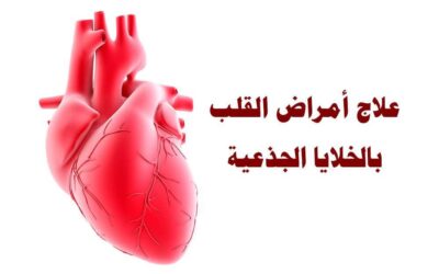 دور الخلايا الجذعية في علاج أمراض القلب